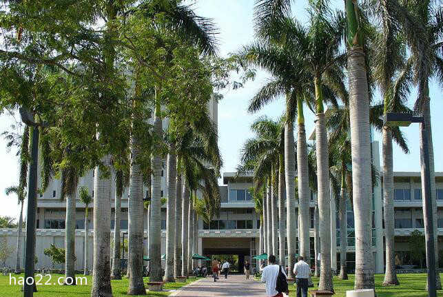 2018年美国迈阿密大学世界排名 留学费用  v2ray加速器 第3张