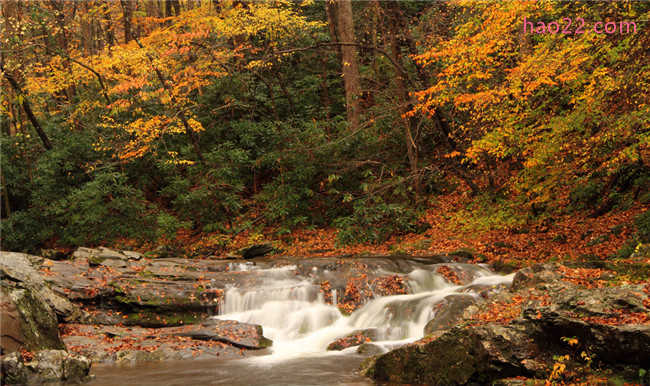 美国十大秋天最美的州 排名第一是康涅狄格州 