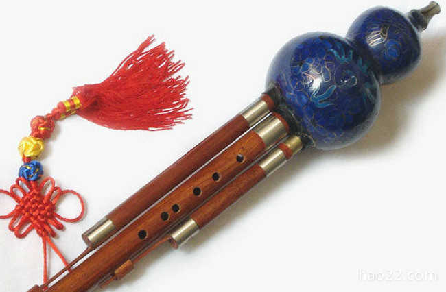 十大最好学的乐器 葫芦丝最简单  第10张