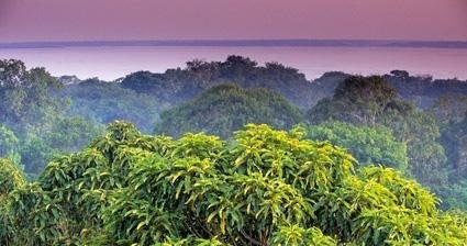 世界上最美的十大热带雨林排行榜(世界上的热带雨林排名）